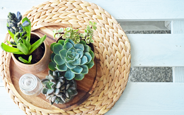 centro-flores-sacras4