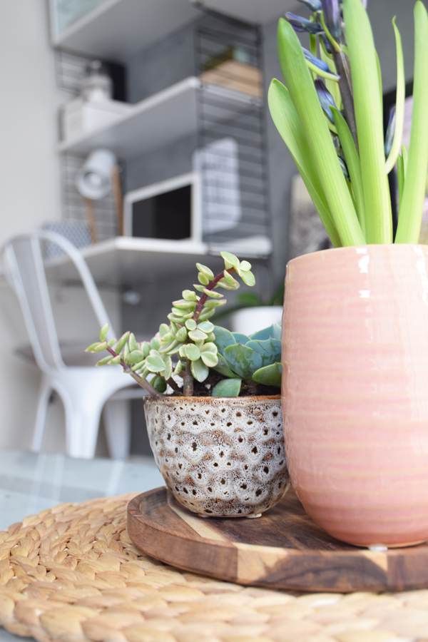 centro-flores-sacras6