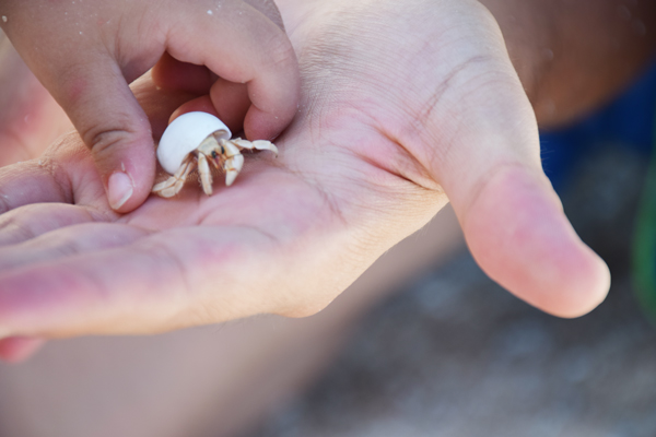 viajarenfamiliaabali4