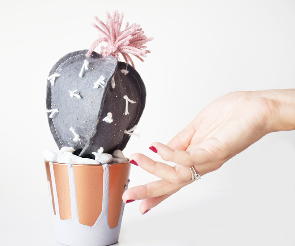 maceta-cactus11