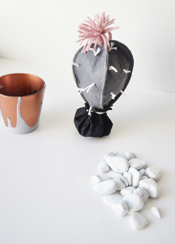 maceta-cactus9