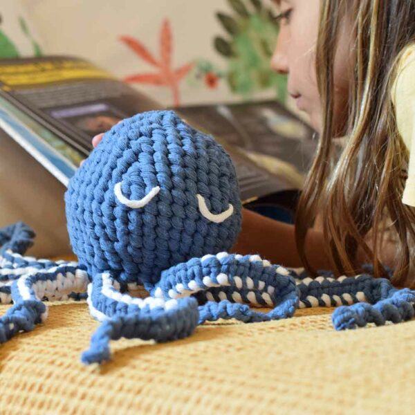 pulpo macragurumi curso online